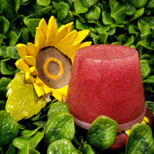 Load image into Gallery viewer, Epione || 🍓 || Sudsy Soap Jelly || 8 oz