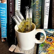 Load image into Gallery viewer, Cozy ๐๐ Comfort ๐ต Bundle Scent Pen Bundle || Miracle Growth Cuticle & Nail Oil Set