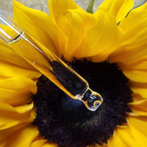 The Bloomer ~ Nourishing Refill Kit Bundle || Hydrating Oil Pack