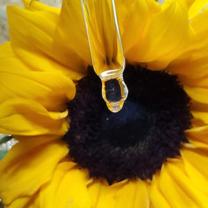 The Bloomer ~ Nourishing Refill Kit Bundle || Hydrating Oil Pack